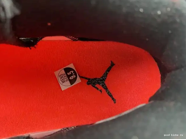 384664-123 White Jordan 6 Retro Infrared (2014) 0519